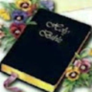 Meet your Posher, Darlene